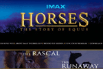 equus
